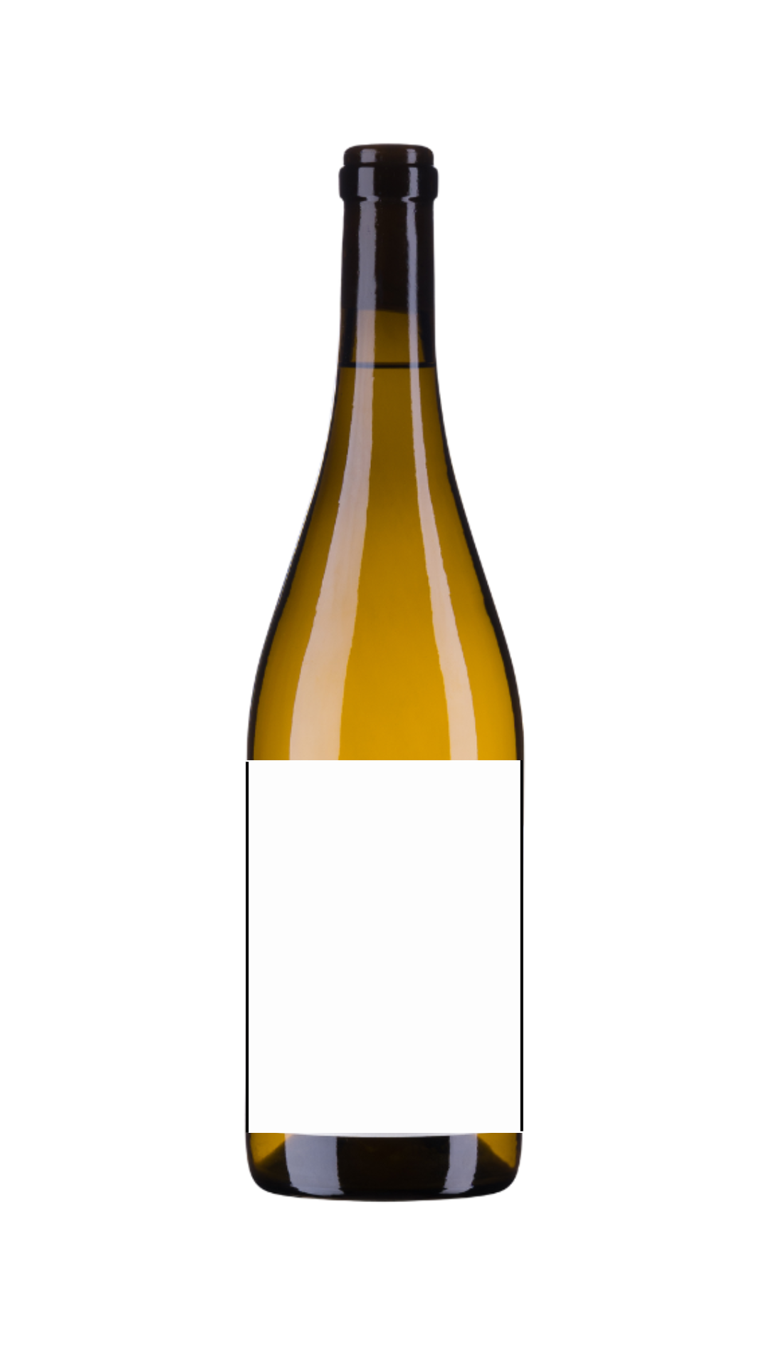 Sauvignon Blanc Weißwein trocken